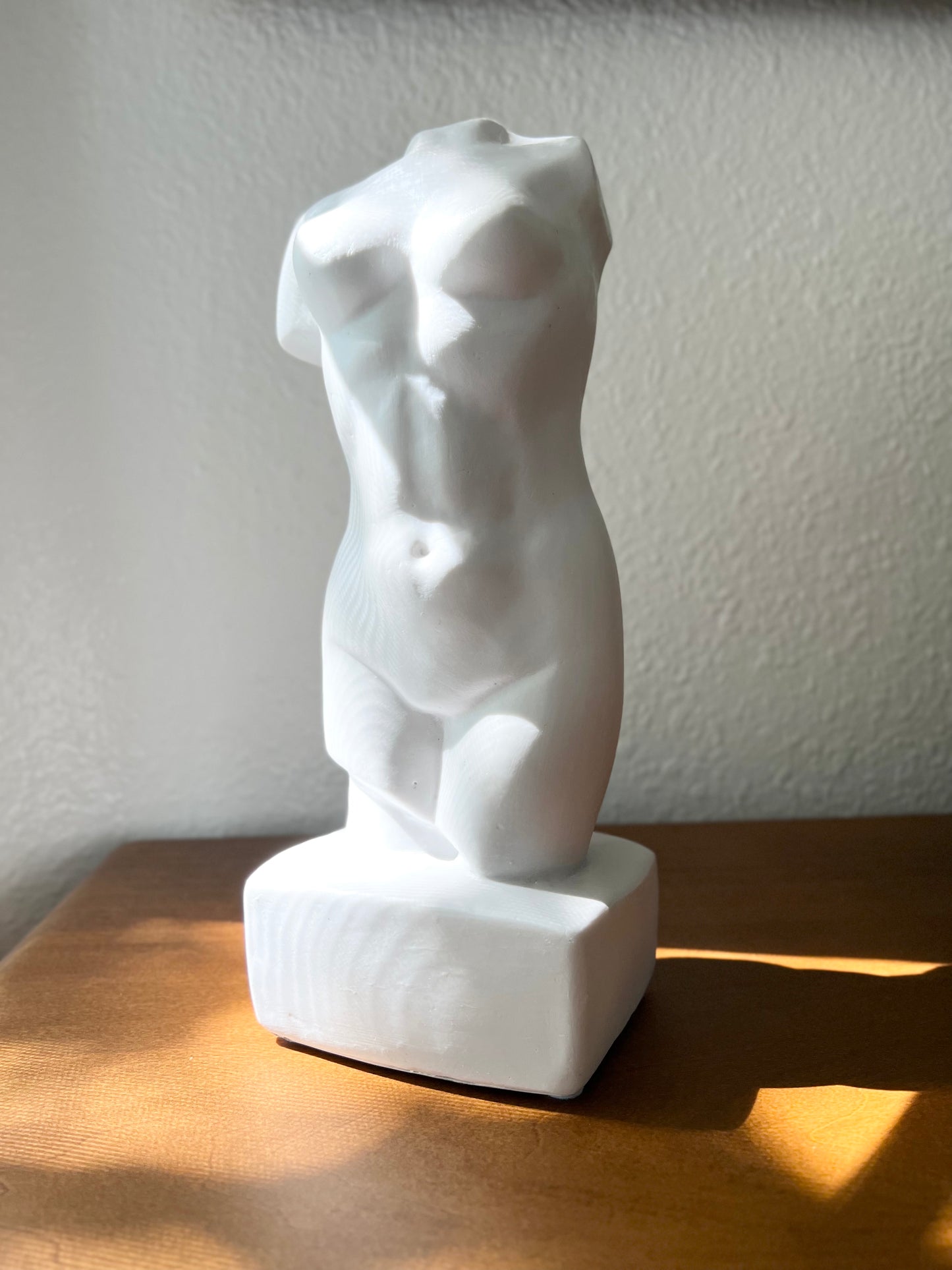 Elegant Torso Statue Set – Male & Female, White, Black, or Bronze