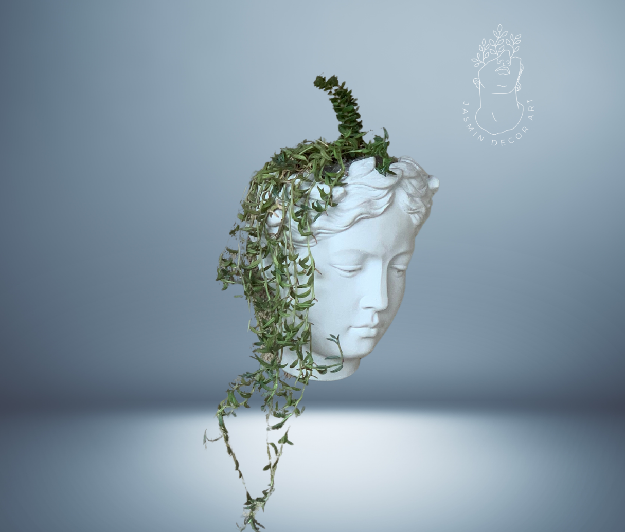 Greek Goddess Female Statue Head Wall Flower Planter