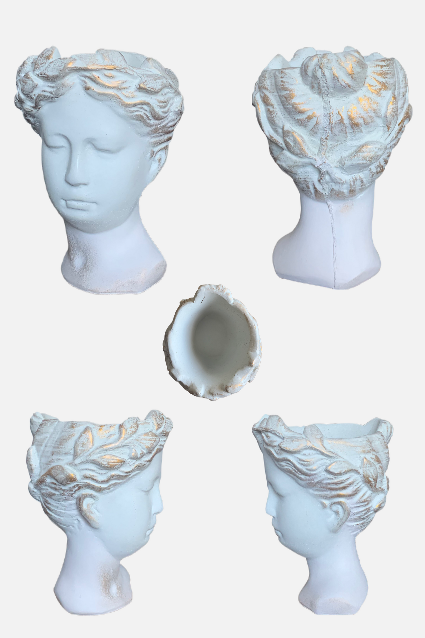 Goddess Venus Head Planter (Medium)