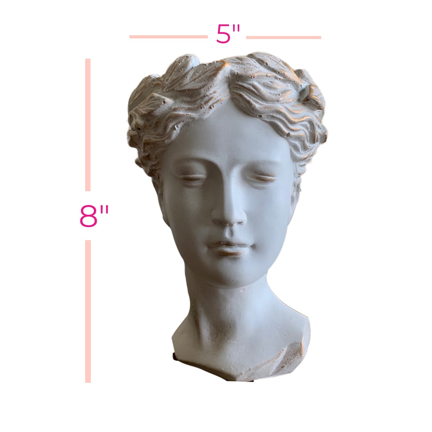 Greco-Roman Goddess Venus Head Statue Planter, Antique Finish for Plants and Candles