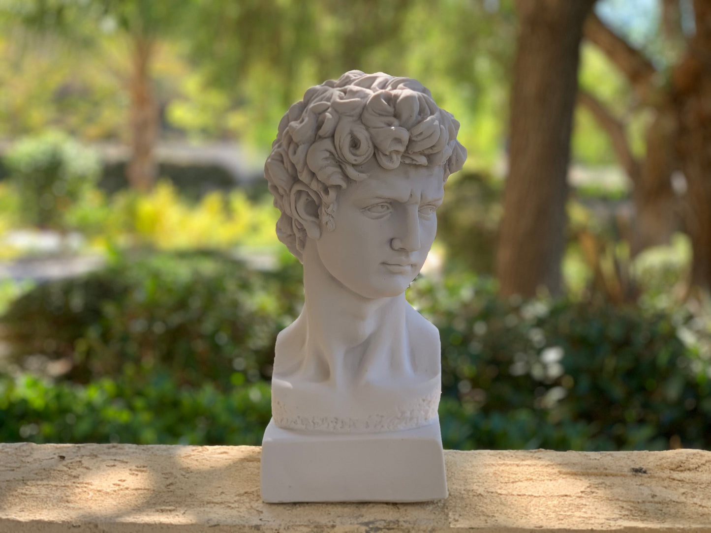 Large David Michelangelo Statue, 13 inches David Bust Statue, Roman Sculpture Statues, Greek Bust Statue Decoration