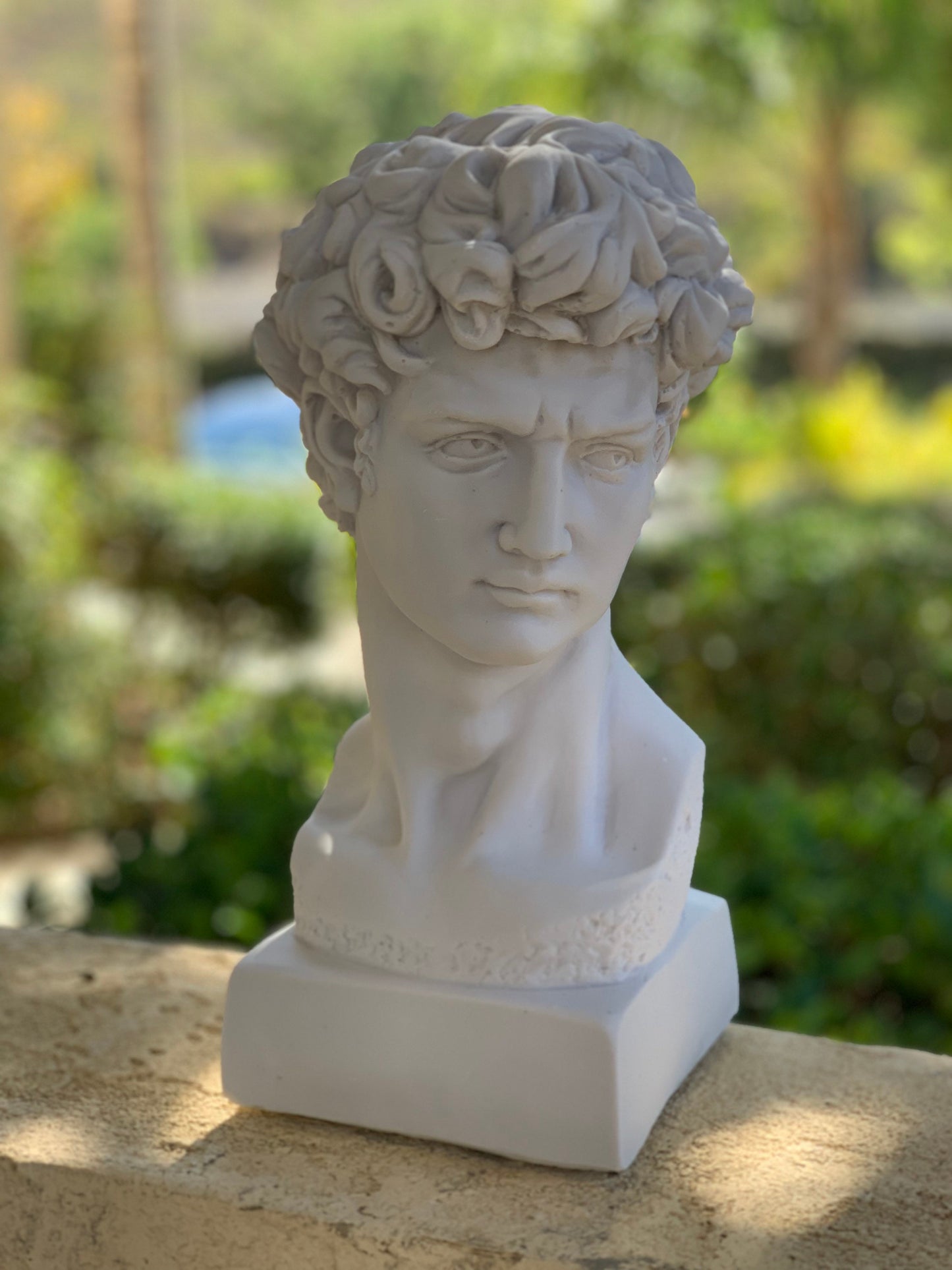 Large David Michelangelo Statue, 13 inches David Bust Statue, Roman Sculpture Statues, Greek Bust Statue Decoration