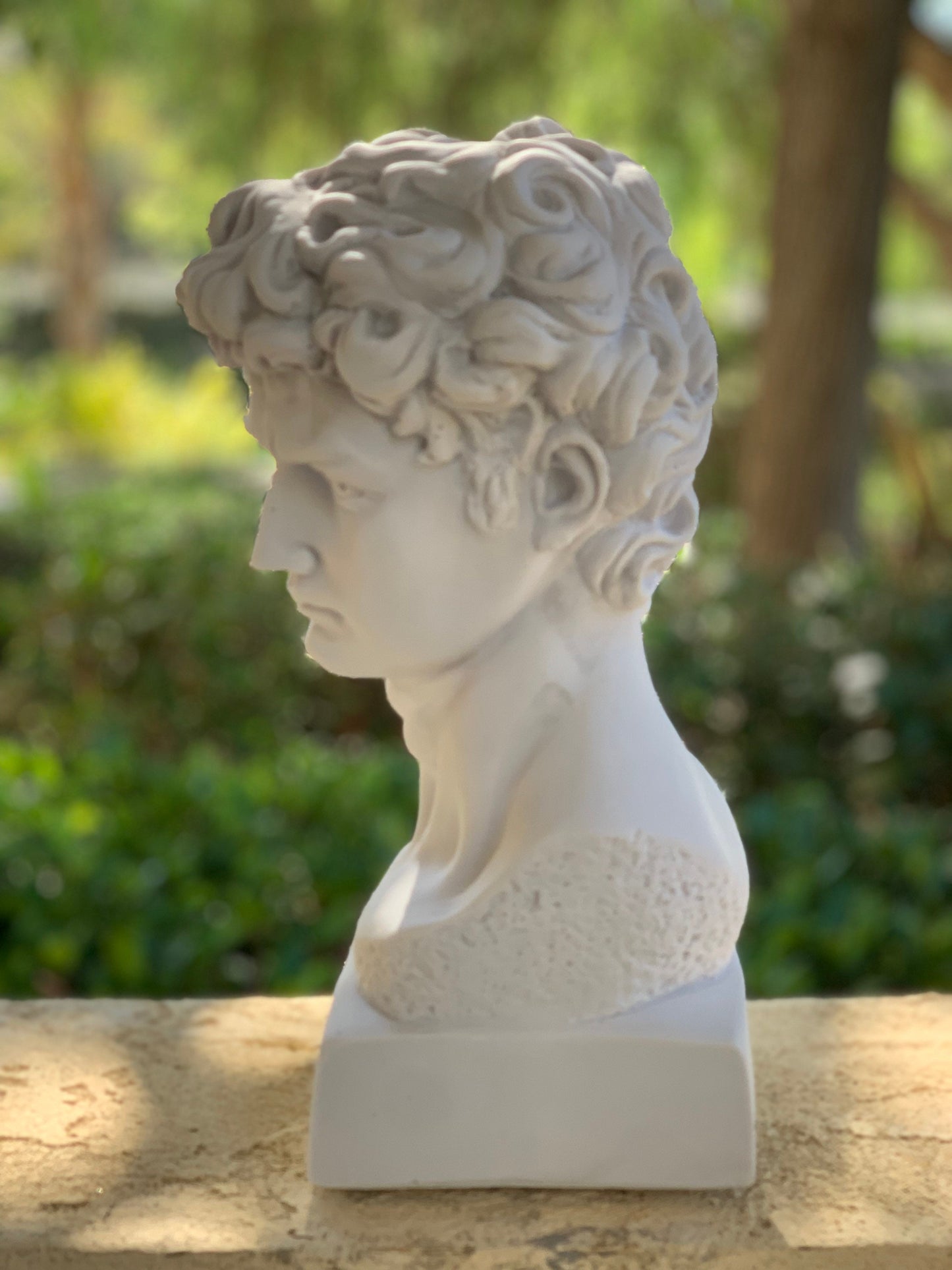 Large David Michelangelo Statue, 13 inches David Bust Statue, Roman Sculpture Statues, Greek Bust Statue Decoration