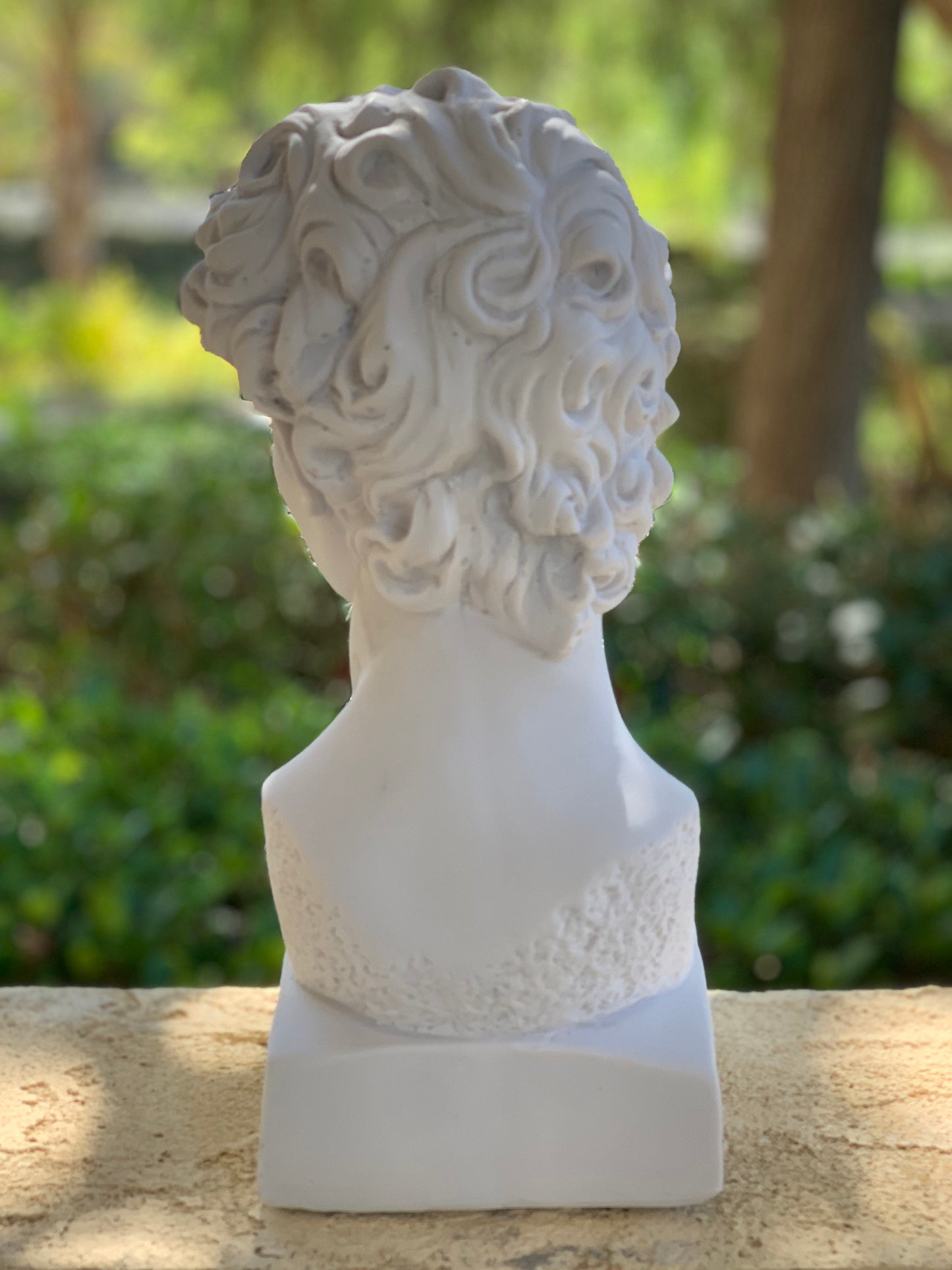 Large David Michelangelo Statue, 13 inches David Bust Statue, Roman Sculpture Statues, Greek Bust Statue Decoration