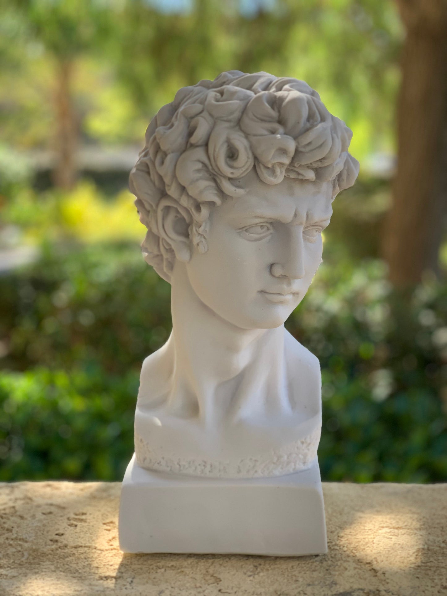 Large David Michelangelo Statue, 13 inches David Bust Statue, Roman Sculpture Statues, Greek Bust Statue Decoration