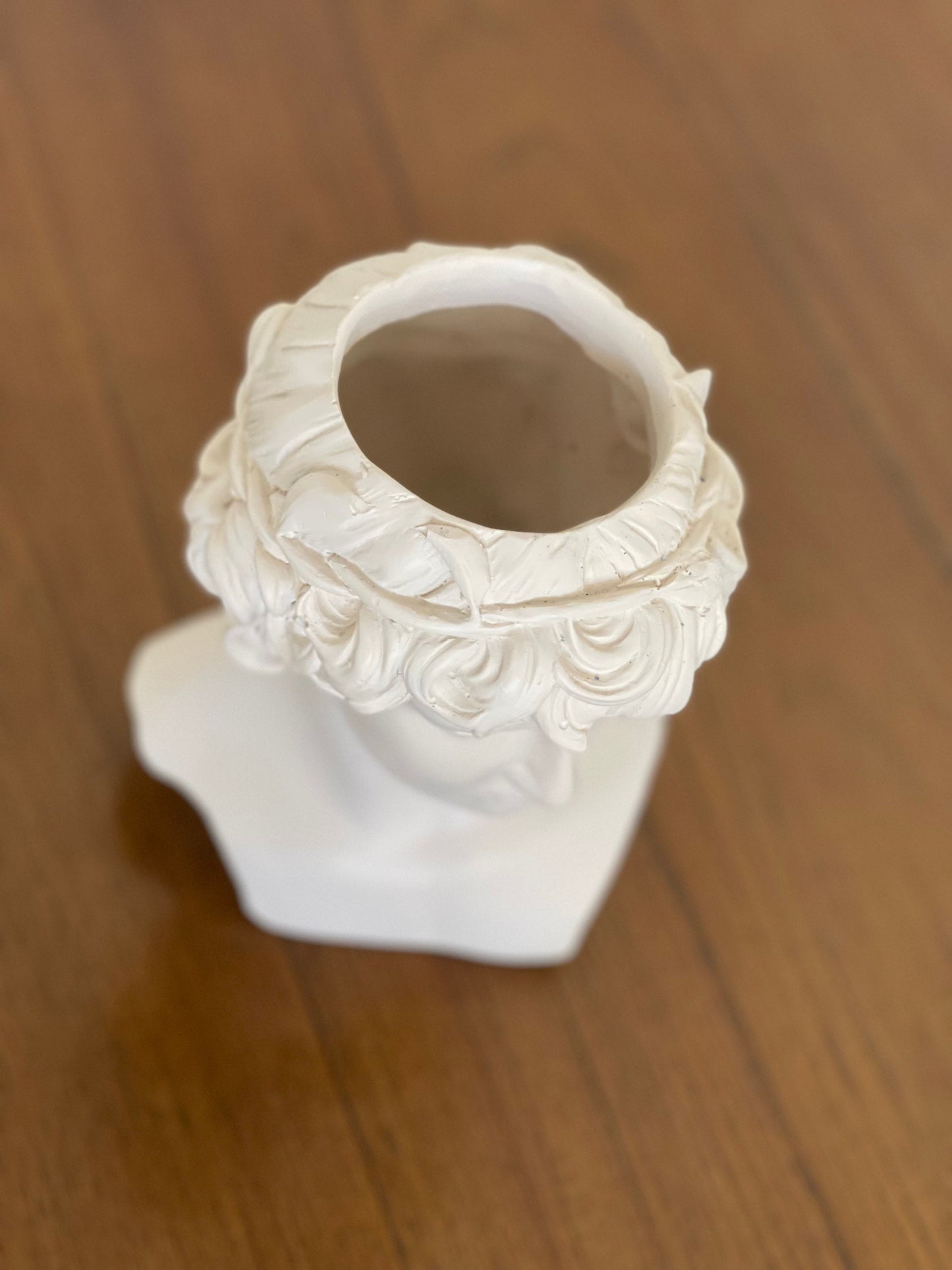 Greek Goddess Male Statue Head Planter, Flower Planter, Ancient Head Sculpture Vase, Roman Venus Vase, Ceasar Bust Planter Mother's Day Gift
