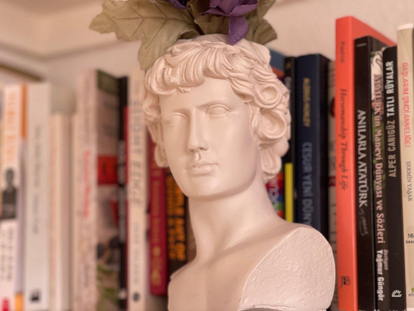 Greek Goddess Male Statue Head Planter, Flower Planter, Ancient Head Sculpture Vase, Roman Venus Vase, Ceasar Bust Planter Mother's Day Gift
