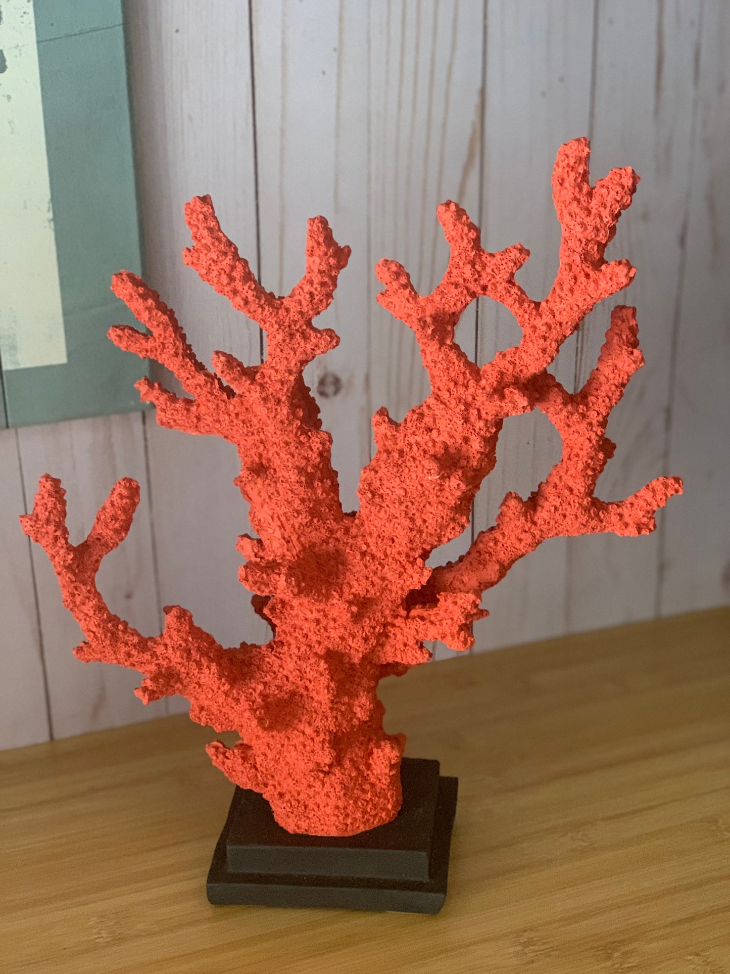 Decorative Coral Moss, Decorative Coral, Beach ThemedNew Home Office Gift, Trinket Sea Coral, Coral Accessory, Red Coral Reef, Ocean Lover