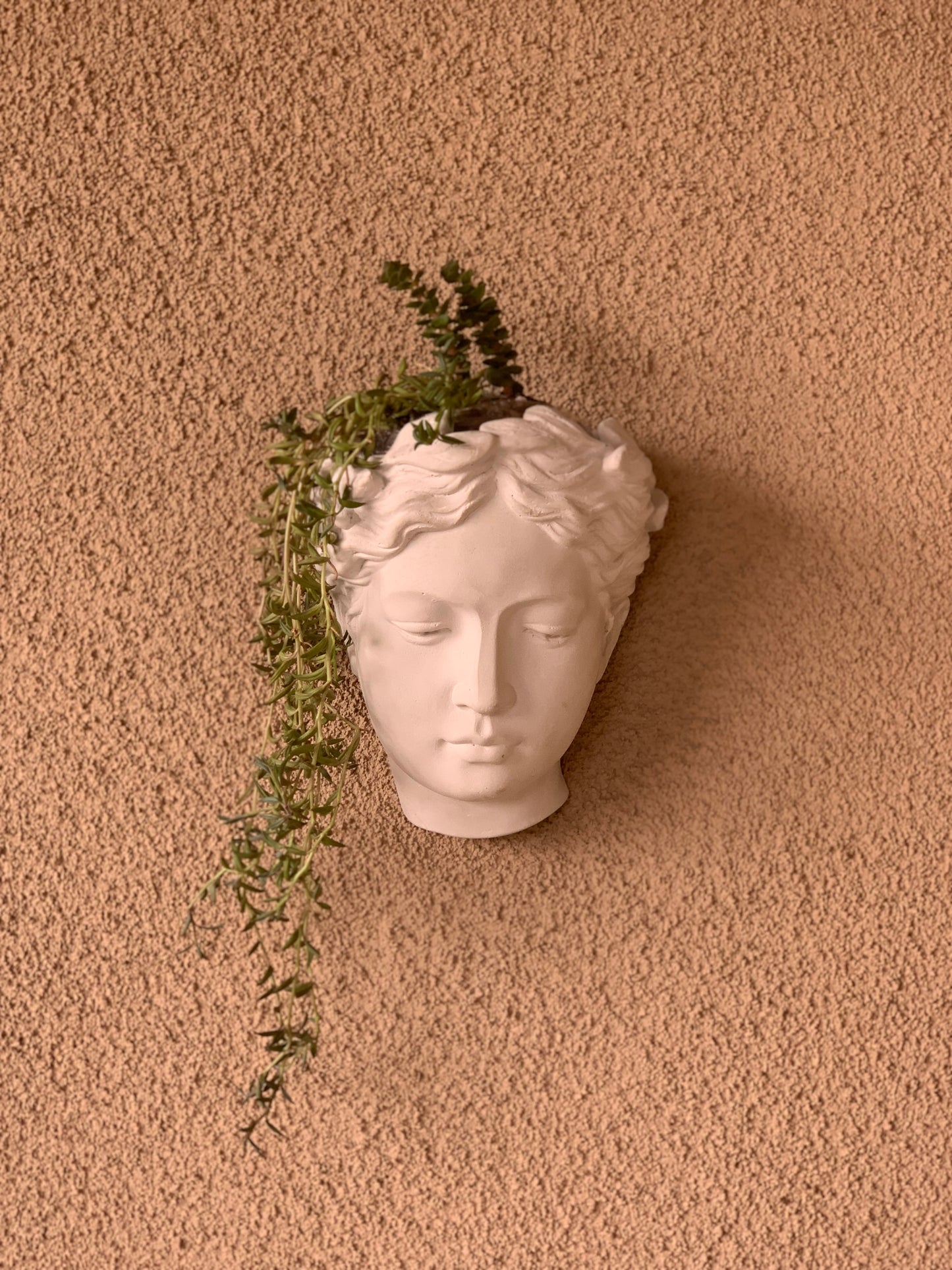 Greek Goddess Female Statue Head Wall Flower Planter