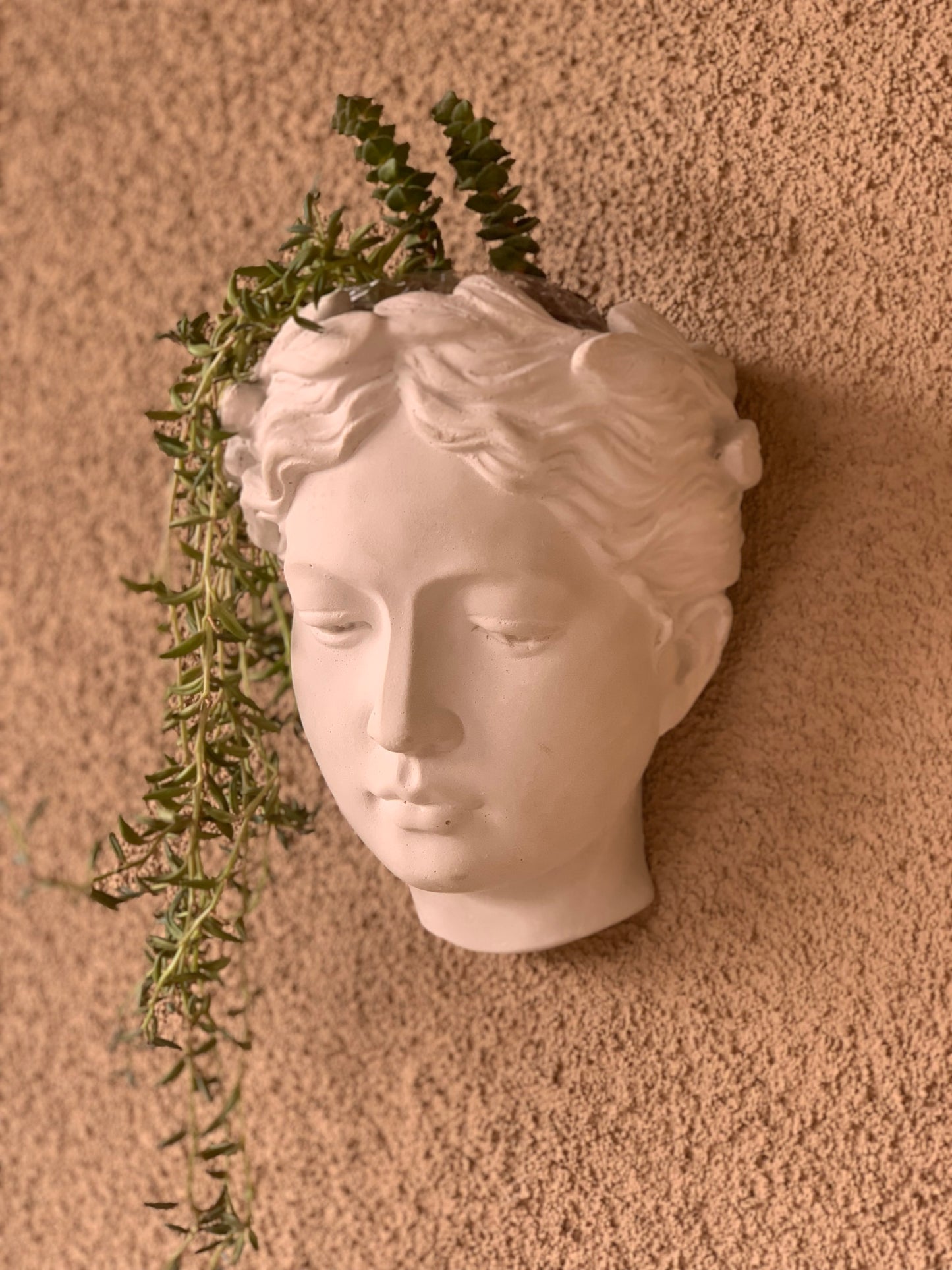 Greek Goddess Female Statue Head Wall Flower Planter