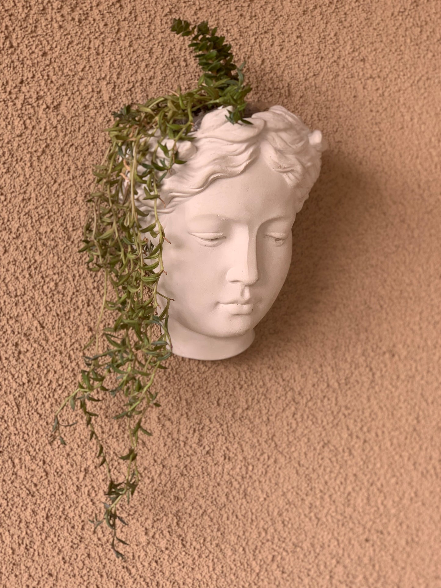 Greek Goddess Female Statue Head Wall Flower Planter