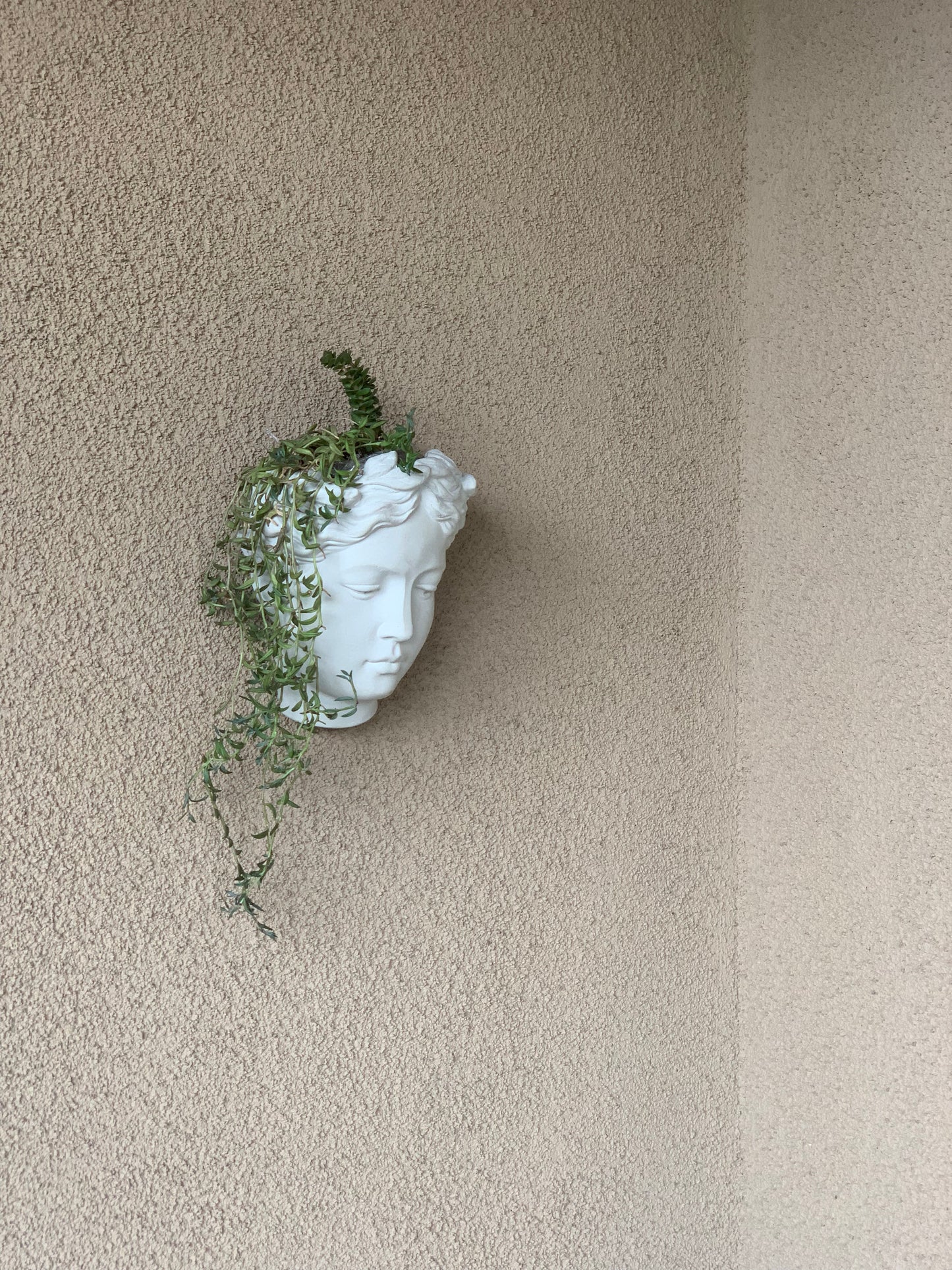 Greek Goddess Female Statue Head Wall Flower Planter