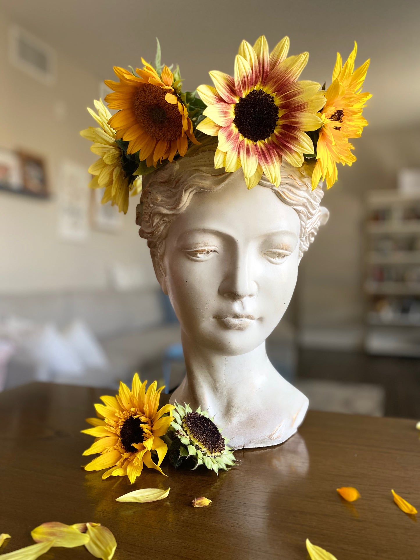 Goddess Venus Head Planter (XXLarge)