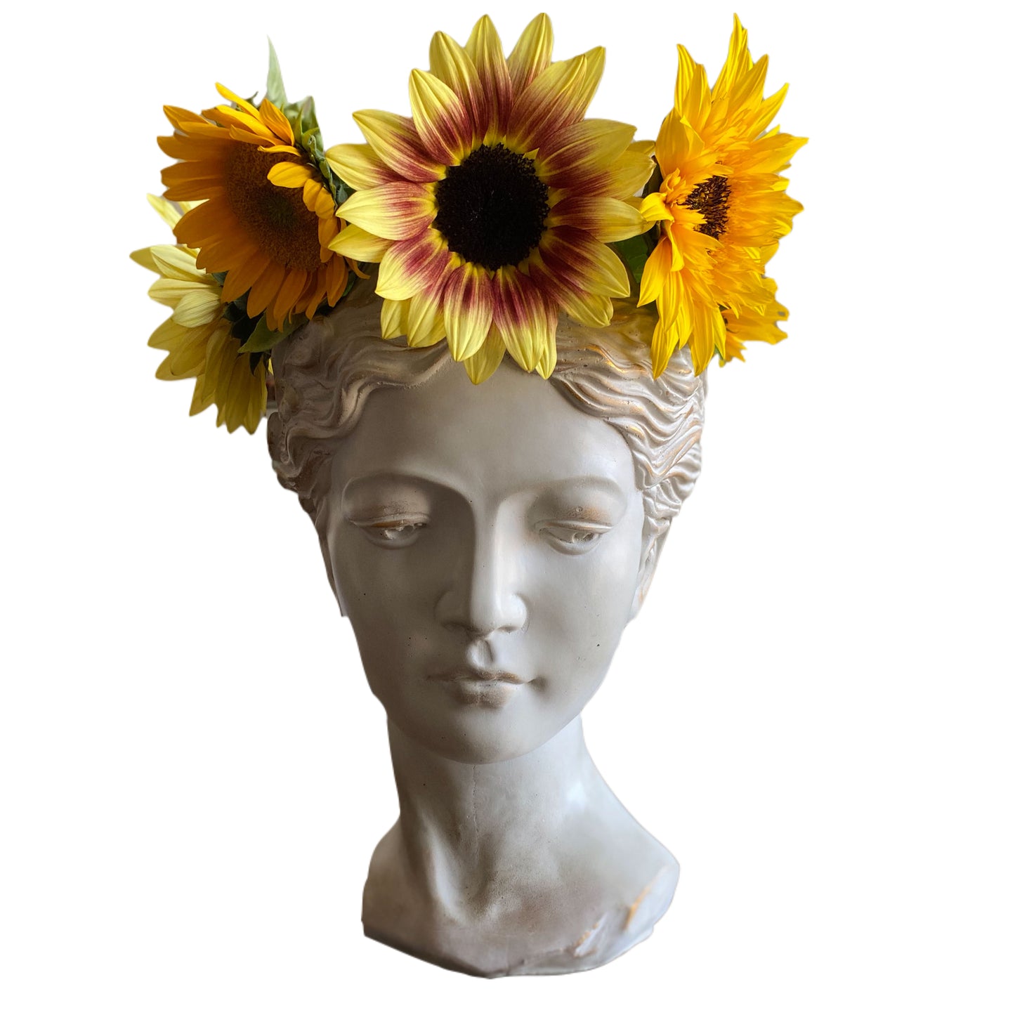 Goddess Venus Head Planter (XXLarge)