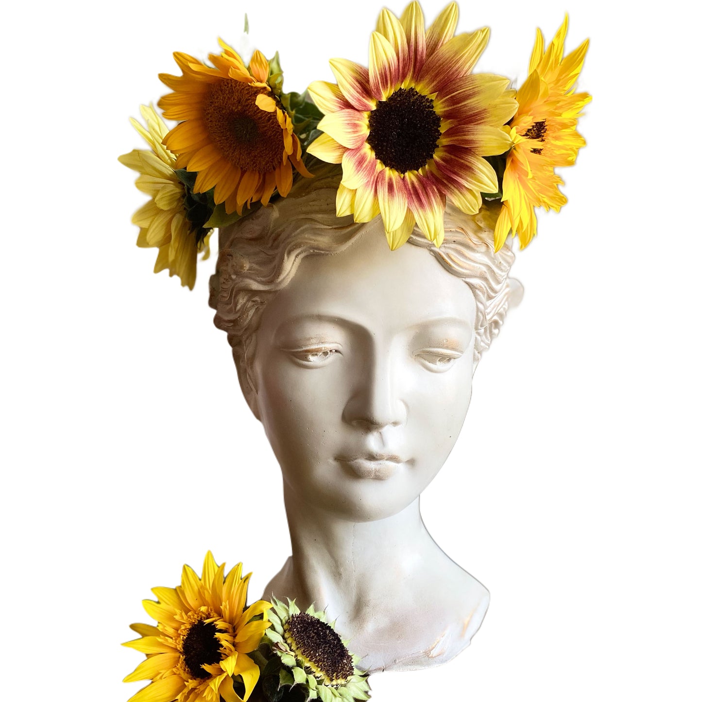 Goddess Venus Head Planter (XXLarge)