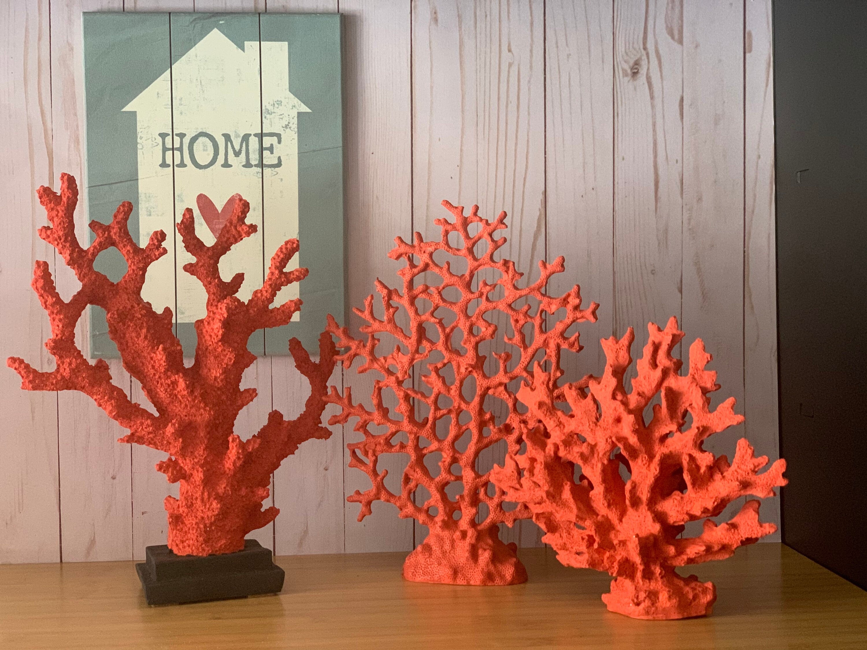 Decorative Coral Moss, Decorative Coral, Beach ThemedNew Home Office G –  Jasmin Decor Inc.